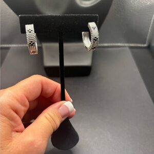 Elegant Sterling Silver Hoop Earrings